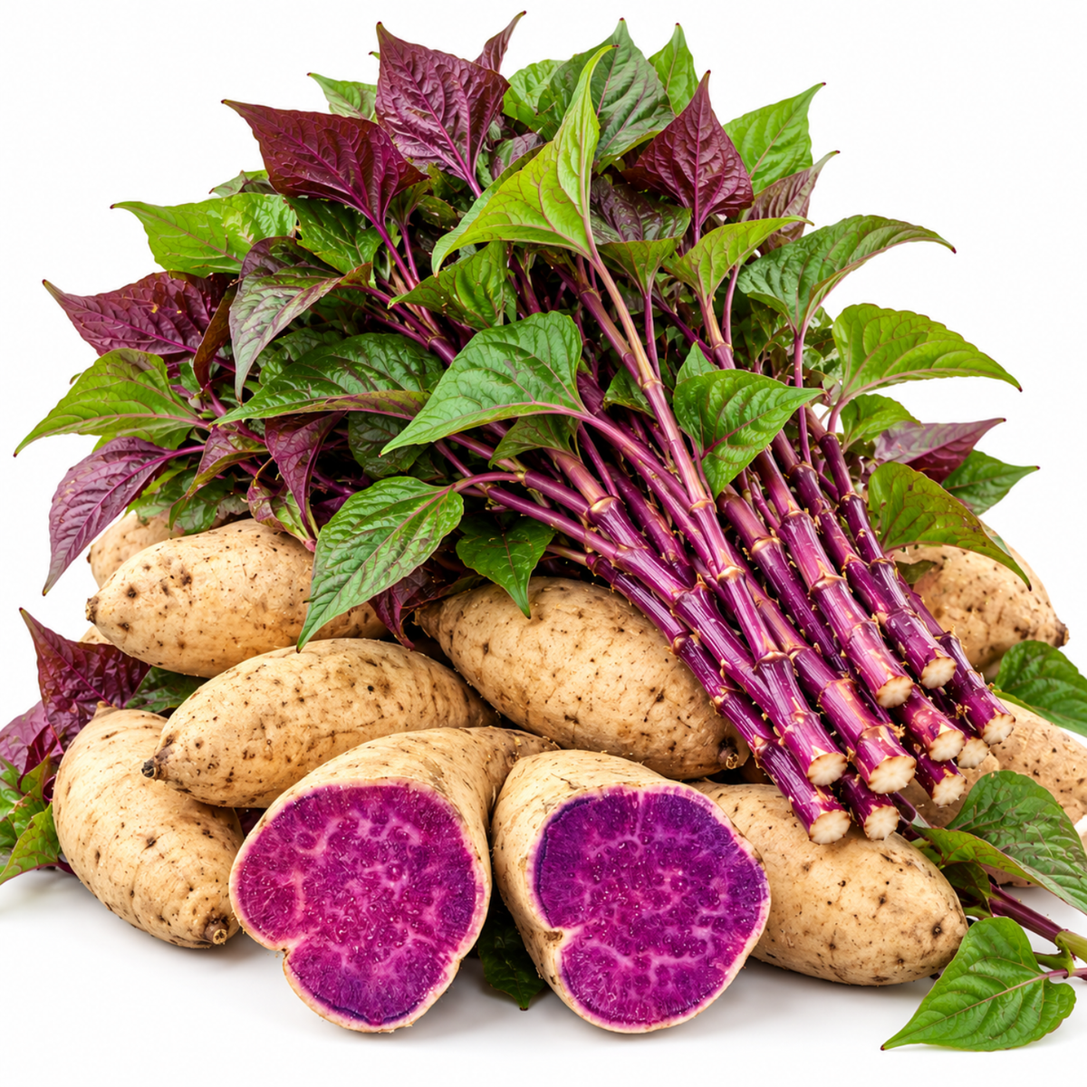 10 Okinawa Purple Potato Plants, Live Purple Sweet Potato Plants for Outdoor Vegetable Gardens, Garden Starts for Warm Climates, Full Sun and Well-Drained Soil