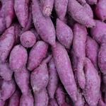 10 Okinawa Purple Potato Plants, Live Purple Sweet Potato Plants for Outdoor Vegetable Gardens, Garden Starts for Warm Climates, Full Sun and Well-Drained Soil