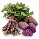10 Okinawa Purple Sweet Potato Slips, Live Plants for Containers and Vegetable Gardens