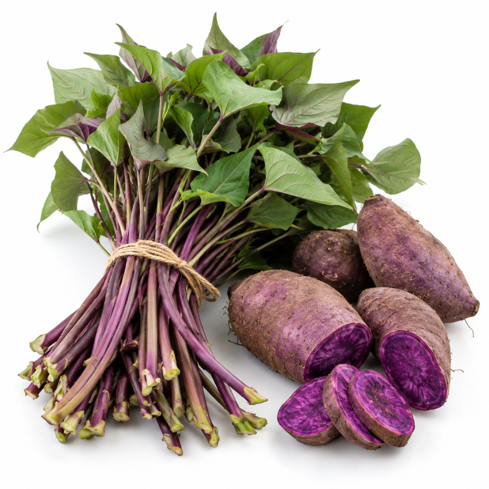 10 Okinawa Purple Sweet Potato Slips, Live Plants for Containers and Vegetable Gardens