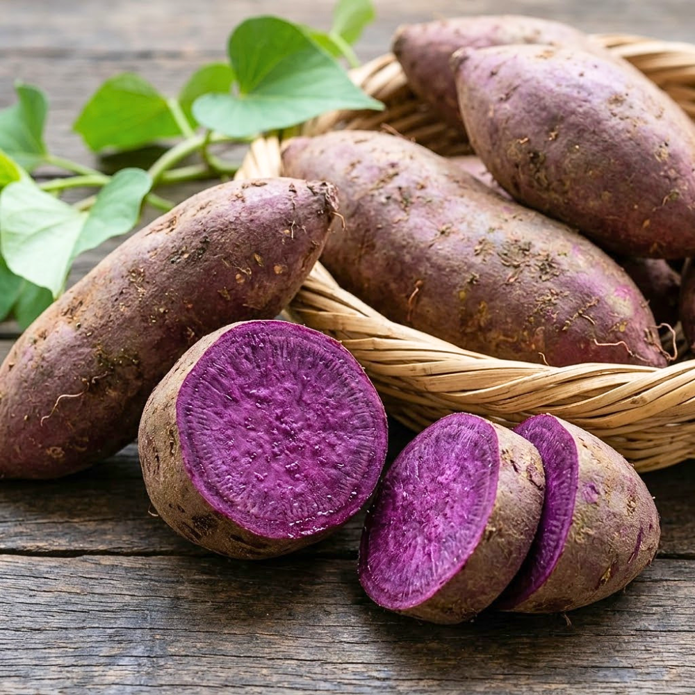 Set of 10 Purple Sweet Potato Slips, Live Garden Starter Plants, 4-7" Tall