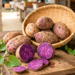 Set of 10 Purple Sweet Potato Slips, Live Garden Starter Plants, 4-7" Tall