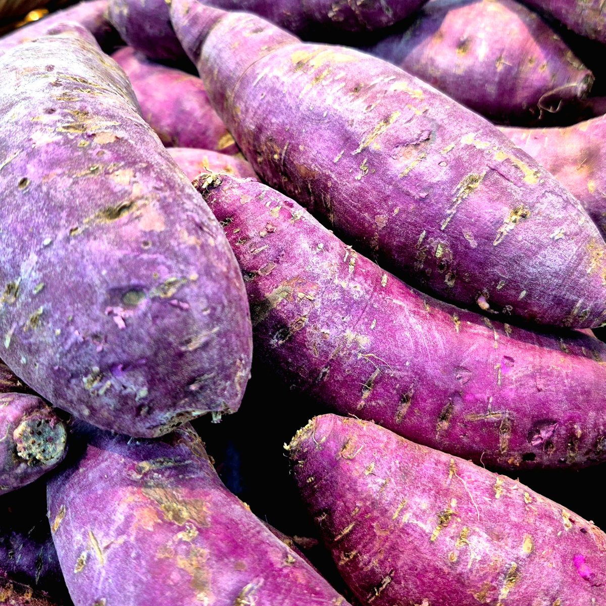 10 Purple Potato Plants for Garden Growing, Okinawa Purple Potato Plants for Backyard Vegetable Beds, Outdoor Planting Starts for Full Sun and Well-Drained Soil