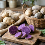 Purple Sweet Potato Live Slips, Set of 10 for Garden Planting, Sweet Potato Plant