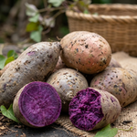 10 Purple Potato Slips Live Plants, Sweet Potato Garden Starters, Vegetable Plant