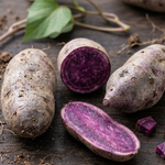 10 Purple Potato Slips Live Plants, Sweet Potato Garden Starters, Vegetable Plant