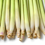 Big 5 Lemon Grass Live Plants, Lemongrass Plants Indoor Outdoor Planting, Herb Rooted Lemongrass Stalks