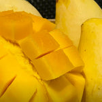 Large Julie Mango Tree Live Plant Grafted, 2 to 3 Feet Tall in Gallon Pot, Ready to Bear Fruit in 1 Year, Large Sweet Mango Tree for Planting