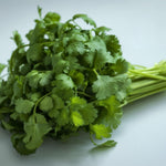 Live Cilantro Plant in 4'' Pot, Fresh Culinary Herb, Herbs for Indoor and Outdoor Gardens Planting