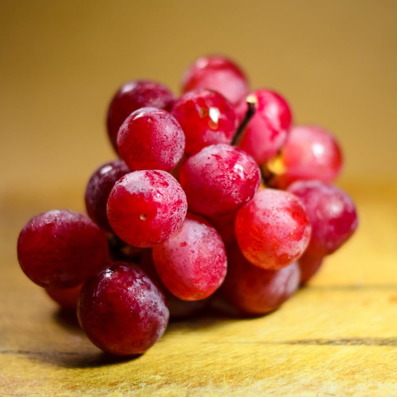 Red Seedless Grape Vines Live Plants for Planting, 5-10" Grape Tree for Outdoor Garden, Dormant in Winter, Cold Hardy, Sweet Flavor