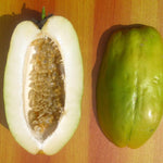Giant Passion Fruit Plant Live, Tropical Fruit Vine for Planting, 5-10" Tall, Sweet Edible Fruits