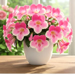 Streptocarpus Live Plant in 3.25" Pot, 5-8" False African Violet Ladyslipper Primose Plant for Spring Planting, Indoor Outdoor Home Décor (Blue White)