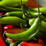 Serrano Pepper Plants Live for Planting, in 4" Pot, Hot Chili Pepper for Indoor and Outdoor Growing