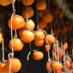 2 Live Persimmon Trees Plants, 1 Year Old Seedling, 8-12 Inches Tall for Indoor and Outdoor Planting Zones 7-10