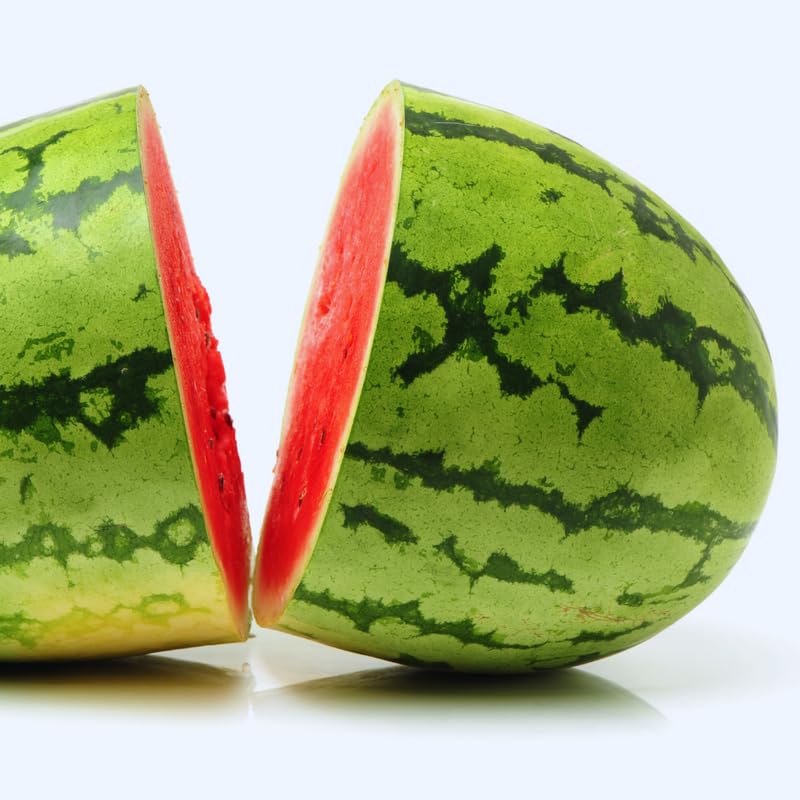 2 Live Red Watermelon Plants for Gardening Indoor Outdoor, Live Watermelon Plants, 3 Inches Tall