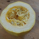 Yellow Spaghetti Squash Live Plant 4" Pot, Live Yellow Squash Plants in 3-5 Inch Tall, Vegetable Seedlings for Planting Outdoor Garden