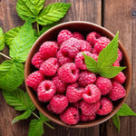 Set 4 Raspberry Plants Live 5 to 8 Inch Tall, Raspberry Bush Live Plants, Sweet Raspberries Fruit Seedlings (Red Raspberry)