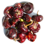 Pack 2 Cascabel Chillies Pepper Plants, Live Chocolate Cascabel Pepper Plants, 80 Days Old Plants in 4 in Pot