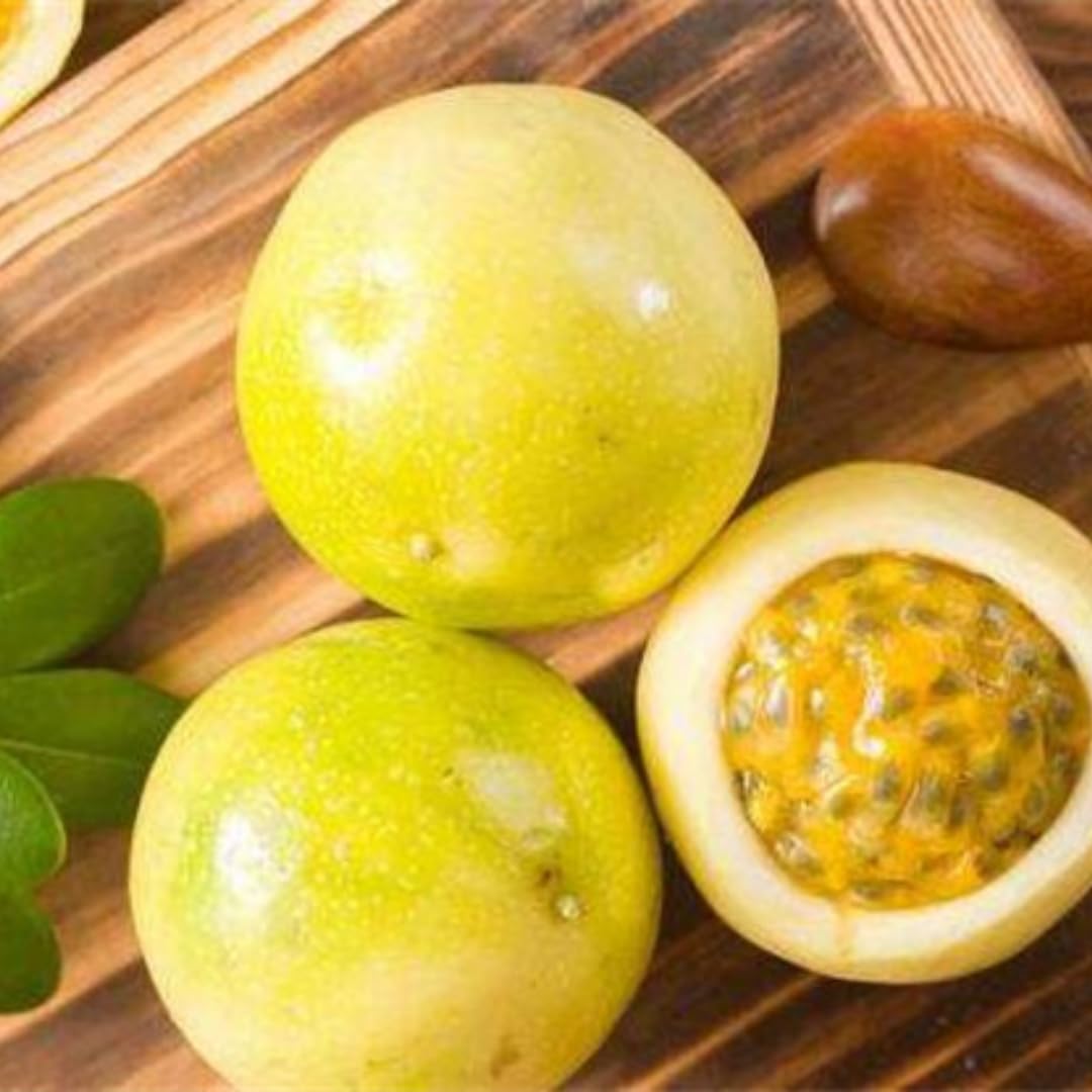 Passion Fruit Tree Live Plant, Yellow Passionfruit Vine Plant Live, Passion Fruit Live Plant for Garden 5 to 8 Inc in Height