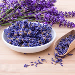 4 Spanish Lavender Plants Live for Outside Planting, Perennial Bloom, Live Lavender Plants 5–9 Inches Tall with Fragrant Flowers for Spring Growing