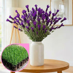 2 Live Spanish Lavender Plants for Outside Planting, Perennial Lavandula Plants Live Fragrant Flowers, Well-Rooted 5-8" for Spring Bloom