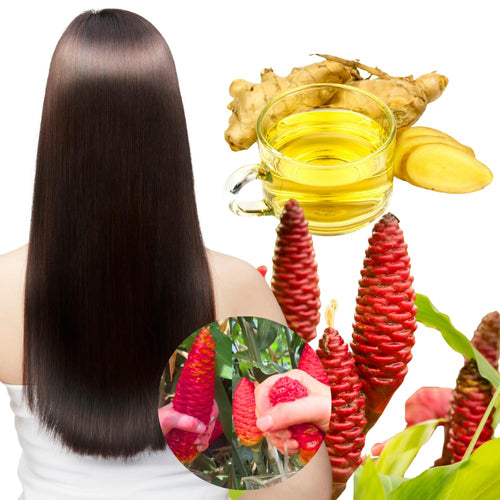 10 to 15 Shampoo Ginger Live Rhizomes Plant, 1 Lb Fresh Awapuhi Red Ginger Rhizomes Roots, Zerumbet Pinecone Zingiber Ginger Lily, Cold Hardy