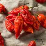 Hot Pepper Plant, Pepper Plant Live for Planting, 4 Inc Pot, 4-6 Inc Pot, Chili Pepper Plant, High Yield Pepper Seedling for Home and Garden Growing, 2 Plants in Pot