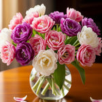 10 Tulip Bulbs for Spring Planting, Mix Double Large Tulip Bulbs for Fall Planting, Flower Bulbs