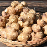 2Lb Jerusalem Artichoke Tubers for Planting, Sunroots Sunchokes Live Roots, Grow Fresh Artichoke Roots Outdoors