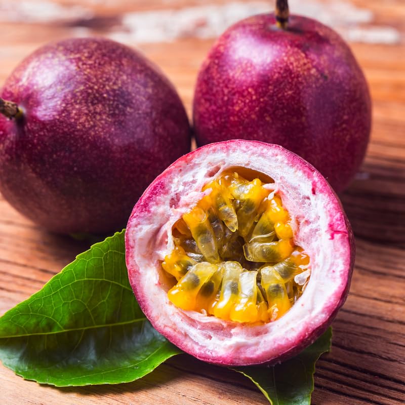 Passion Fruit Tree Live Plant, Purple Passionfruit Vine Plant Live, Passion Fruit Plant for Garden Outdoor or Indoor, 5 to 8 Inc in Height