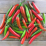 Serrano Pepper Plants Live for Planting, in 4" Pot, Hot Chili Pepper for Indoor and Outdoor Growing