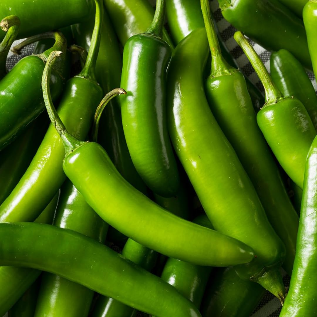 2 Plants Serrano Pepper Live Plants Per Pot, 100 Days Old Pepper Plant Well Rooted Seedlings, Hot Peppers for Year Round Harvesting, No CA