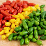 2 Super Hot Peppers Live Plants, 90 Days Old Hot Pepper Chili Plant for Spring Planting (Chile Pequin)
