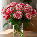 Fourth of July Climbing Rose Live Plant, 6 Months Old Starter, Fragrant Purple Climbing Roses for Planting Outdoor, No Pot