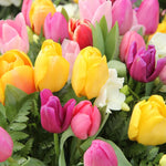 10 Top Size Tulip Bulbs by Hardiness Zones 3 to 11, Mixed Double Peony Tulips Bulb Bulk for Fall Planting, Assorted Colors