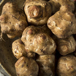 1 Pound Jerusalem Artichoke for Planting Outdoors, Jerusalem Artichoke Root Plant