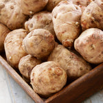 12 Large Live Jerusalem Artichoke Tubers Sunchokes Sunroots Fresh Rhizomes for Outdoor Planting, Winter Hardy, High Yield