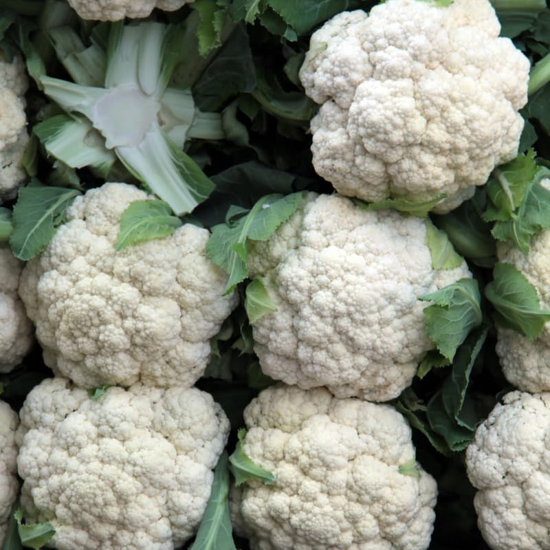 Cauliflower Plant Live in 4'' Pot, Cauliflower Vegetables Ready to Grow, Starter Plants 4-6 Inch Tall, 2 Plants per Pot