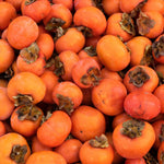 2 Sweet Persimmon Tree Seedlings, 1-1.5 Feet Tall, Hardy Persimmon Fruit Bearing Trees, Outdoor Garden Planting