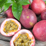 Purple Passion Fruit Plant Live, Tropical Fruit Vine for Planting, 5-10" Tall, Sweet Edible Fruits