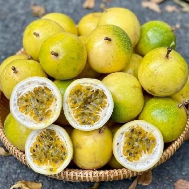 Yellow Passion Fruit Plant Live, Tropical Fruit Vine for Planting, 5-10" Tall, Sweet Edible Fruits