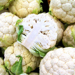 Live Cauliflower Plants 4-6'' Tall in 4'' Pot, Live Vegetable Plants, Outdoor Garden Growing, 2 Plants per Pot