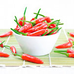 Pepper Plants, Hot Pepper Plants Live in 4 Inches Pot, Chili Pepper Plant, High Yield Pepper Seedling for Home and Garden Growing, 4 to 6 Inc Tall
