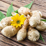 2Lb Jerusalem Artichoke Tubers for Planting, Sunroots Sunchokes Live Roots, Grow Fresh Artichoke Roots Outdoors