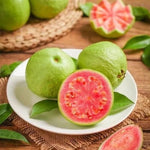 Pink Guava Tree Live Plant, 6-10 Inches Guava Fruit Tree Well Rooted, Tropical Fruit Trees for Containers and Garden Growing