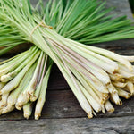 Set 6 Lemongrass Plants Live, Lemongrass Herbs Stalks, 4-8" Tall Well-Rooted for Culinary Gardens, Tropical Grass for Outdoor Landscapes