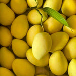 Golden Mango Tree Plant Live, Well Rooted, 8-13 Inches in Pot, Sweet Mango Tree for Planting