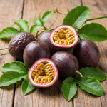 High Yield Passionfruit Plant Live 4-7 Inches Tall, Tropical Passion Fruit Vine for Garden, Patio Containers and Indoor Growing