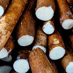 2 Potted Yuca Cassava Plants Live Grown for Cuttings Sweet Manihot Rooted for Planting, 6-10 Inc in Tall, Easy to Roots, Very Fast Growing