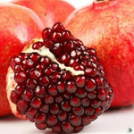 Pomegranate Tree Live Plant, 5 to 7 Inc Tall Seedling, Pomegranate Plant for Gardening